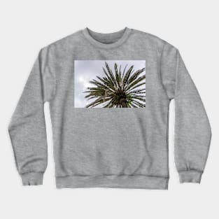 Palm tree silhouette against grey cloudy sky Crewneck Sweatshirt